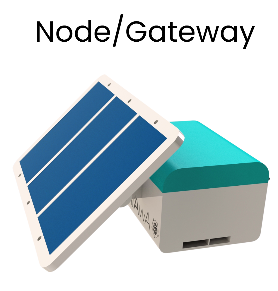 Node